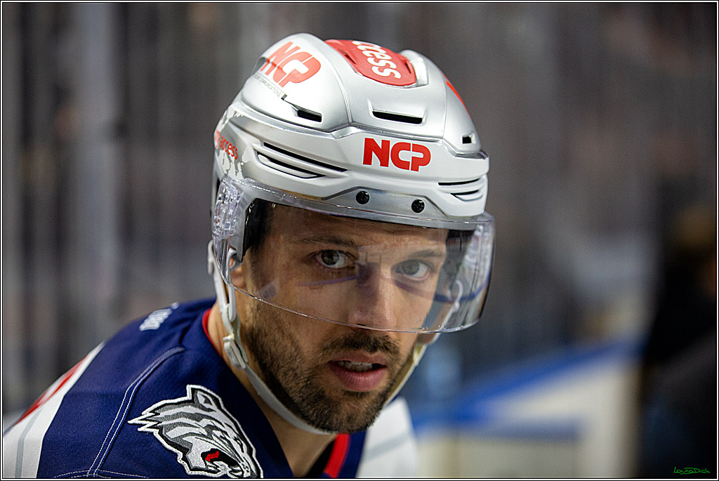 PENNY DEL; Koelner Haie- Nuernberger Ice Tigers; Koeln, 18.11.2022